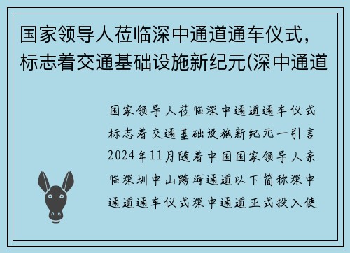 国家领导人莅临深中通道通车仪式，标志着交通基础设施新纪元(深中通道谁投资的)