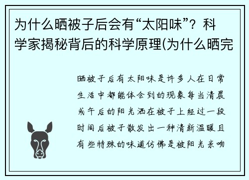 为什么晒被子后会有“太阳味”？科学家揭秘背后的科学原理(为什么晒完被子会有股太阳味)